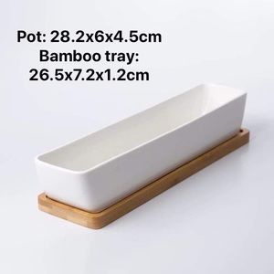 Succulent ceramic pot with bamboo tray